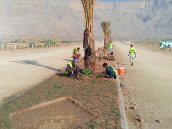 Planting trees all around D.I. new city
