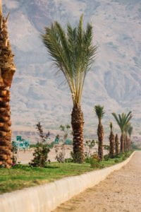 D. I. Khan New City boulevard road