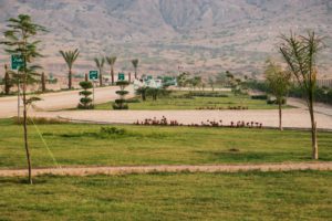 D. I. Khan New City side park