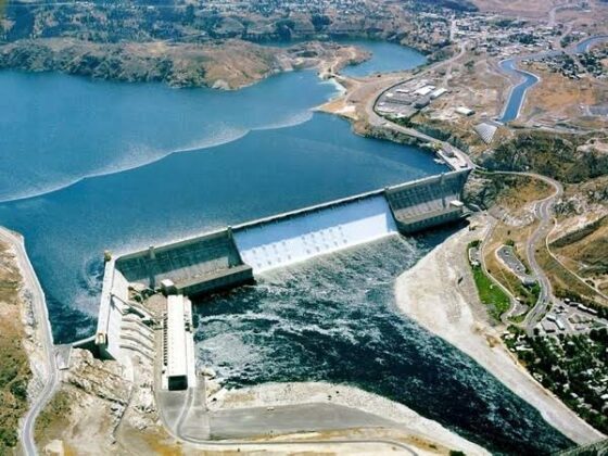 Pakistan Seeks $3.5 Billion Financing from Saudi Arabia for Diamer-Bhasha Dam