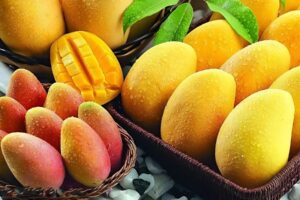 Pakistan Sets $100M Mango Export Goal for 2025