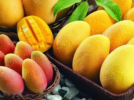 Pakistan Sets $100M Mango Export Goal for 2025