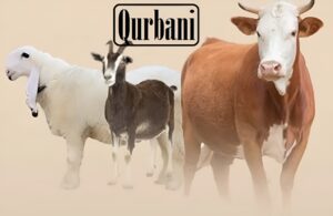 Eid al-Adha 2025 How to Perform Qurbani the Sunnah Way
