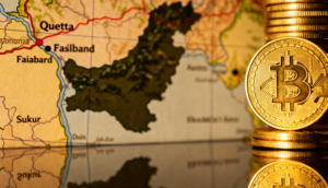 Pakistan’s Strategic Move into the Digital Economy